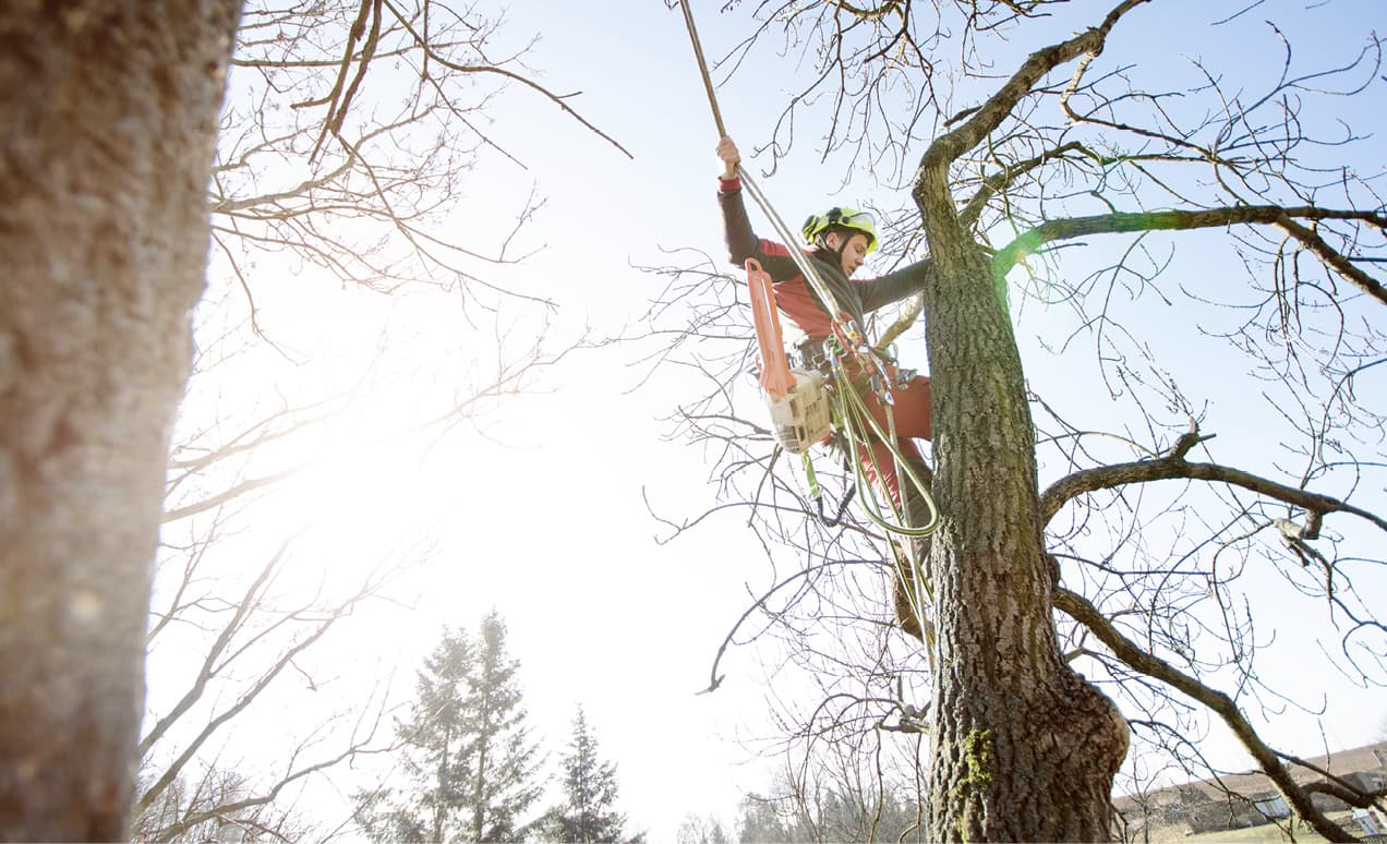 Worker exposed to extreme heights and falling debris